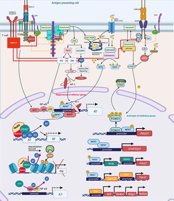 Reversing Post-Infectious Epigenetic-Mediated Immune Suppression